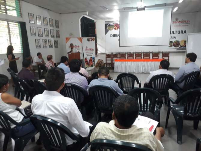  PCM desarrolla taller de descentralización en Tarapoto