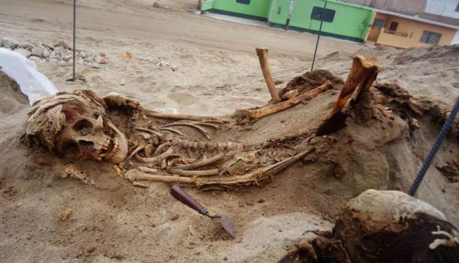  Nueva investigación en el lugar del masivo sacrificio de niños del Antiguo Perú