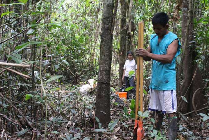  San Martín promueve cuidado y conservación del bosque y biodiversidad