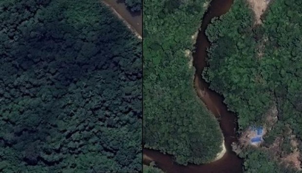  Banco Mundial financiará proyecto contra deforestación en Ucayali por US$12,2 mlls.