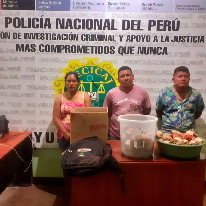  Intervienen a 5 personas por presunto tráfico ilícito de drogas en Yurimaguas