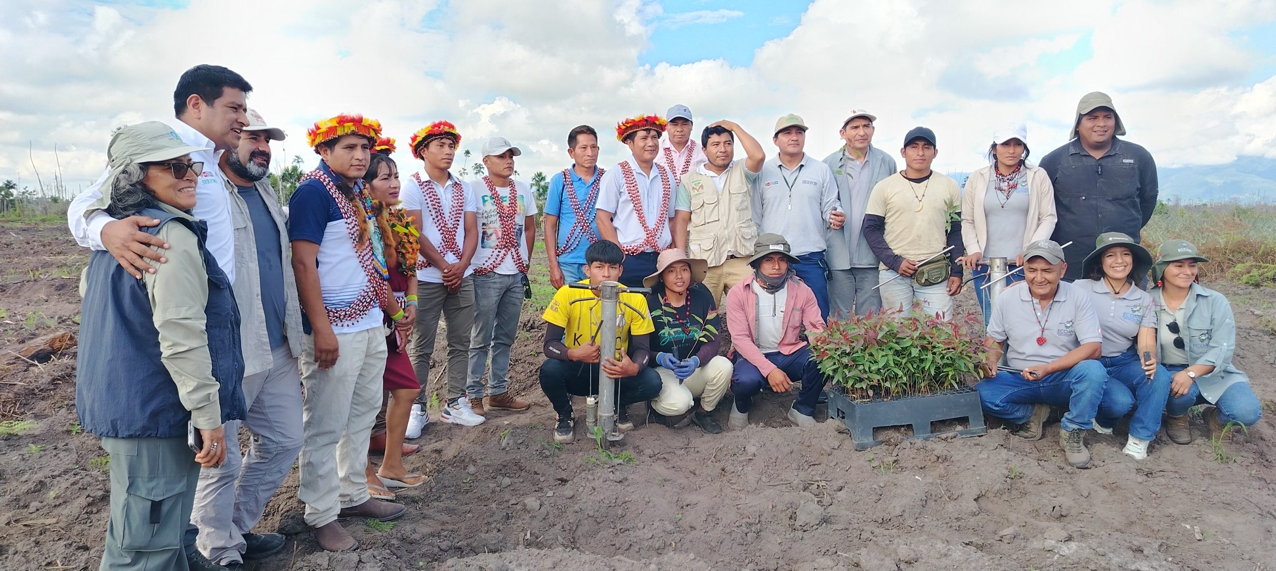 Serfor impulsa la sostenibilidad forestal mediante el Programa de Incentivos Forestales en comunidades awajún de San Martín