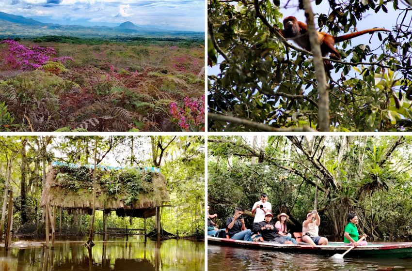  Iniciativas comunitarias en la lucha contra la Deforestación en San Martín (Perú)