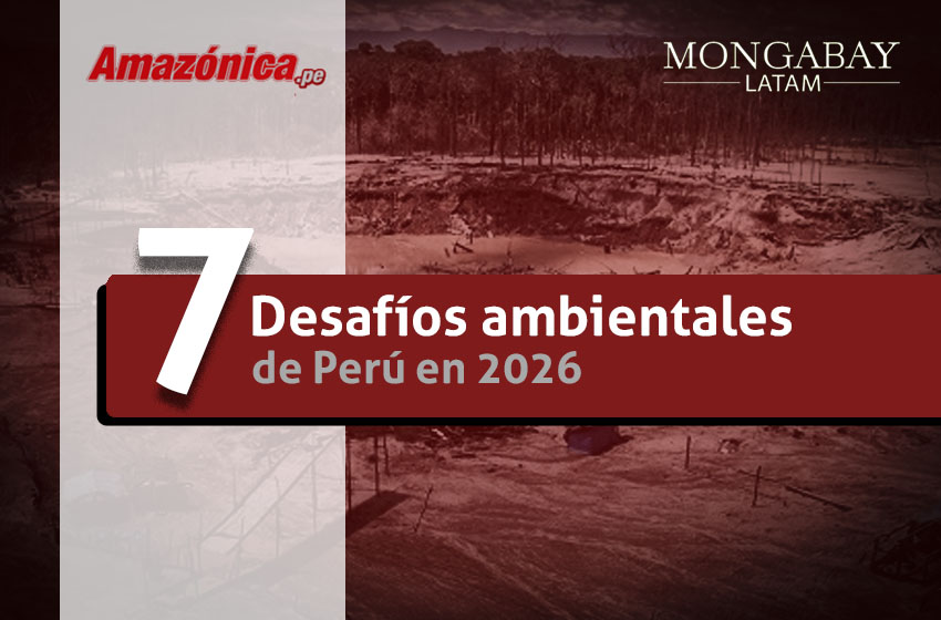 Conozca los siete desafíos ambientales de Perú en 2026