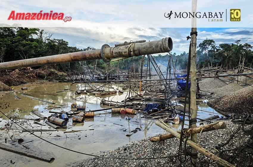 La Pampa: Así funciona el sistema de extorsiones, amenazas y asesinatos que devasta los bosques