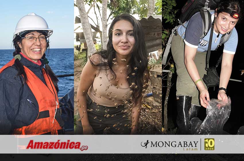 Investigadoras latinoamericanas se aventuran para conocer el mar, la selva y especies asombrosas