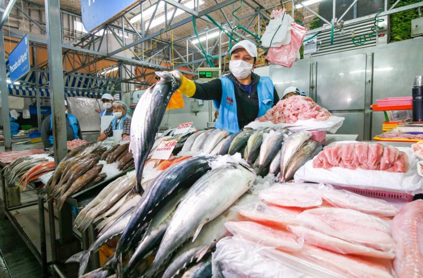  Semana Santa: Cómo elegir un pescado fresco y de calidad