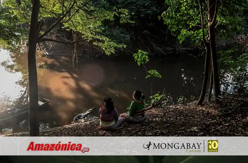  Perú: Expertos plantean escuchar a comunidades que habitan los bosques