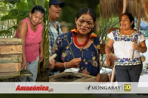 dia mundial de la abeja - amazonica