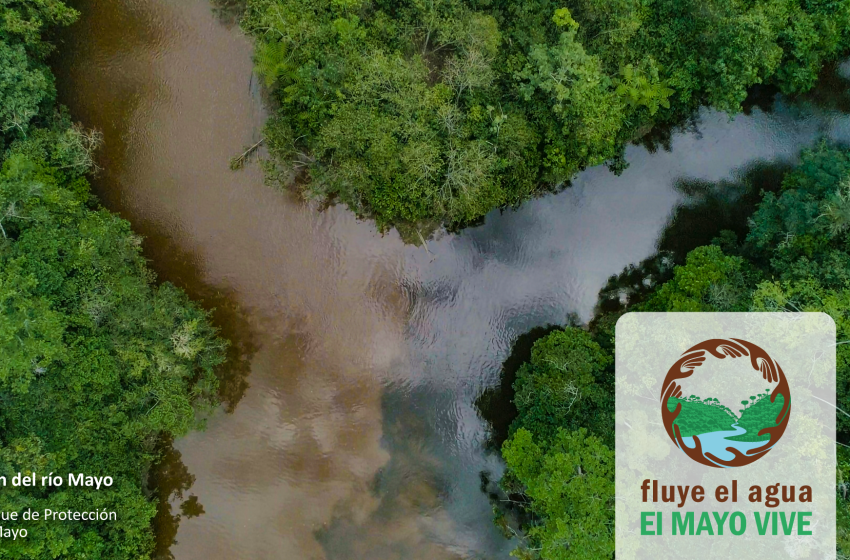  “Fluye el Agua. El Mayo Vive”: la gran alianza que busca salvar la cuenca del río Mayo y asegurar el futuro de San Martín