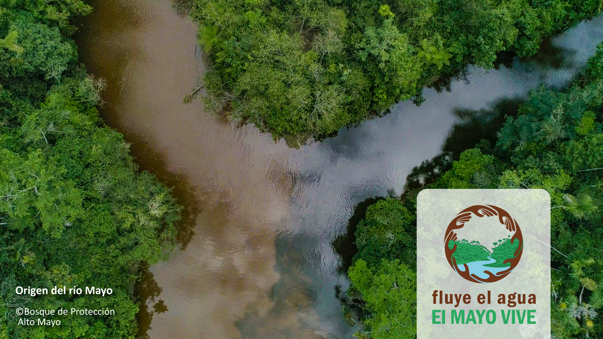 “Fluye el Agua. El Mayo Vive”: la gran alianza que busca salvar la cuenca del río Mayo y asegurar el futuro de San Martín