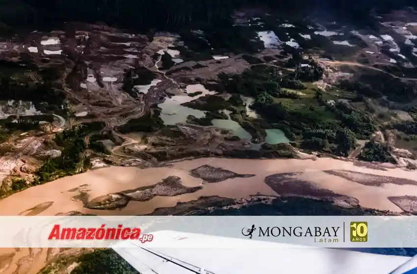 Sobrevuelos en la Amazonía muestran dragas de minería ilegal, laboratorios de droga y deforestación masiva