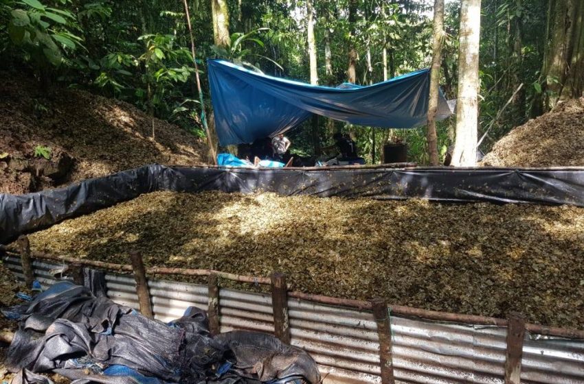  PNP destruye laboratorio rústico inactivo de procesamiento de droga en Tocache