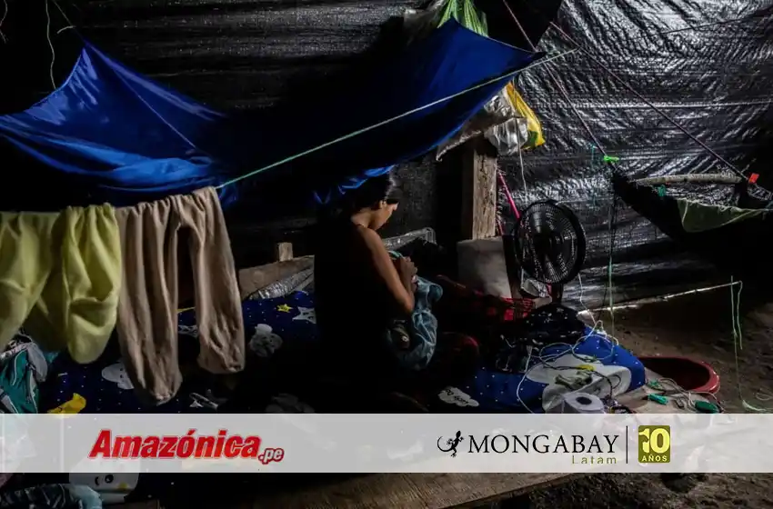  Mercurio en la sangre: la huella tóxica en niños y gestantes de Madre de Dios