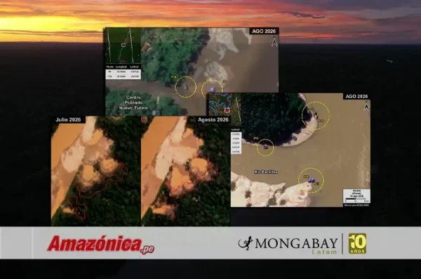 mineria ilegal mapas satelitales madre de dios tampopata huanuco amazonas - amazonica