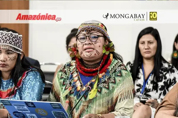 peru olivia bisa deibilidad protección líderes indígenas - amazonica
