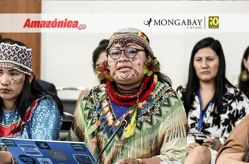Caso Olivia Bisa: nuevo ataque vuelve a exponer debilidades en la protección a líderes indígenas