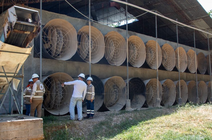  OEFA supervisa el cumplimiento de compromisos asumidos por la Granja Jabrini, en San Martín